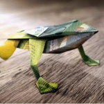 bank coop evolution