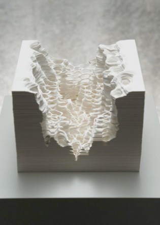Topographic Paper Landscapes by Noriko Ambe
