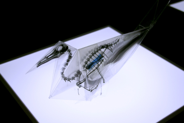 X-Ray Origami by Takayuki Hori