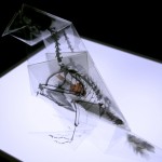 X-Ray Origami by Takayuki Hori