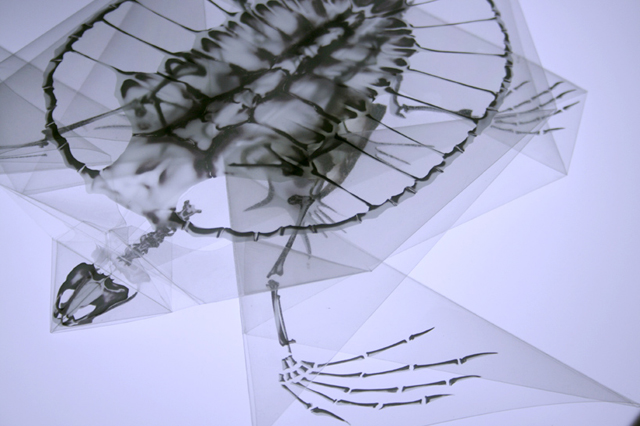 X-Ray Origami by Takayuki Hori