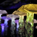 Jelly Swarm at Vancouver Aquarium