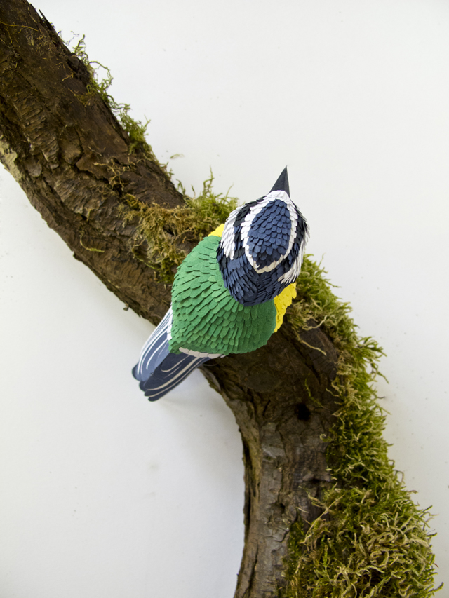 kiki-peeters-tomtit-1 Paper Tomtit Sculpture By Kiki Peeters