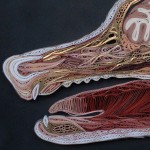Unbelievable Quilled Art by Lisa Nilsson