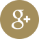 Google Plus